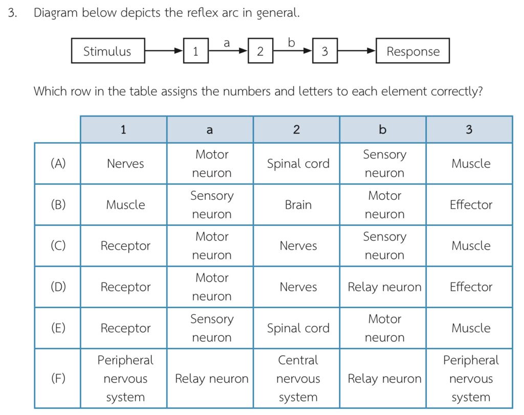 Blog-ตะลุยข้อสอบ-BMAT-Biology-โจทย์-2-1024x812