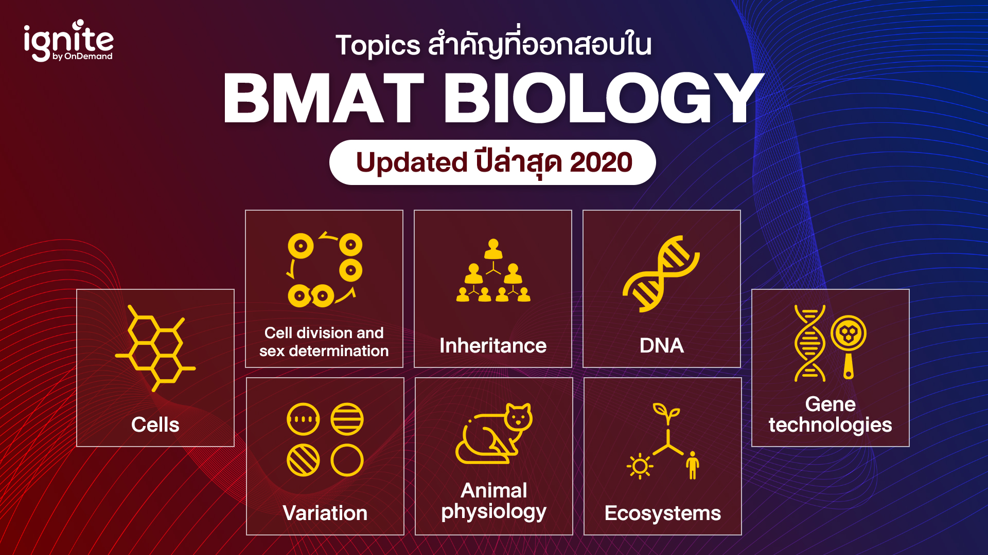หัวข้อสำคัญทที่ออกสอบใน - BMAT Biology - Bigcover1